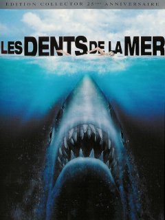 Retour sur les Dents de la Mer ! 