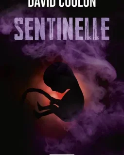 Sentinelle - David Coulon