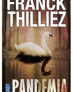 Franck Thilliez lance un challenge solidaire