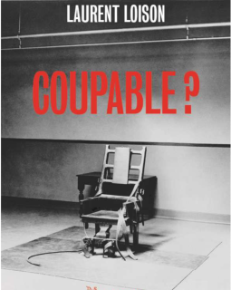 Coupable ? - Laurent Loison 