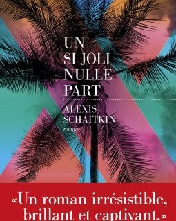 Un si joli nulle part - Alexis Schaitkin