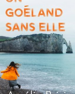 Un Goéland sans Elle - Amélie Brizio