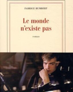 Le monde n'existe pas - Fabrice Humbert