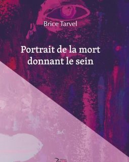 L'interrogatoire de Brice Tarvel