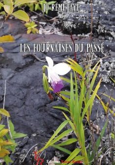 Les fournaises du passé - Jo-Rémi Faye