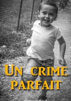 Un crime parfait - Olivier WAGNER