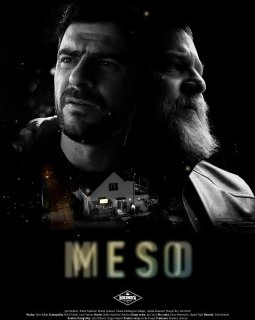 Meso - Sasa Hajdukovic