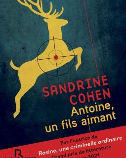 Antoine, un fils aimant - Sandrine Cohen