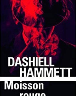 Un été pour lire les meilleurs romans policiers et thrillers – 3 romans noirs américains