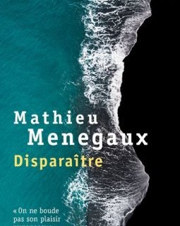 Disparaître - Mathieu Menegaux