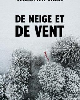 De neige et de vent - Sébastien Vidal