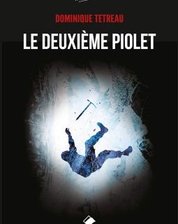 Le deuxième piolet - Dominique TETREAU