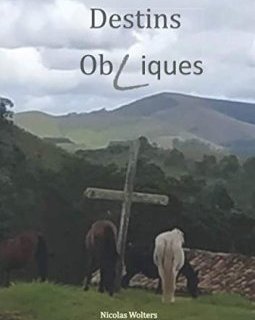 Destins Obliques