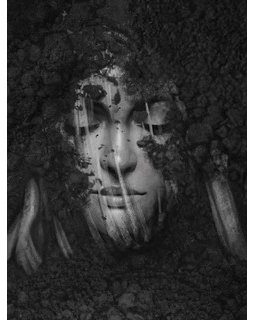 L'interview d'Oren Miller 