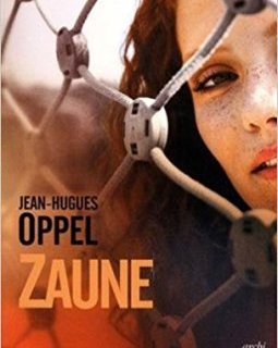 Zaune - Jean-Hugues Oppel