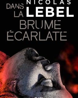 Dans la brume écarlate - Nicolas Lebel