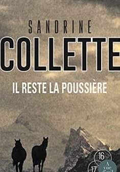 Il reste la poussière - Sandrine Collette