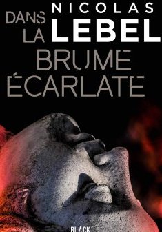 Dans la brume écarlate - Nicolas Lebel