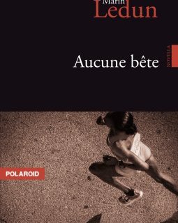 L'interrogatoire de Marin Ledun