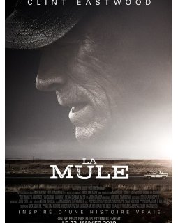 Films polars et thrillers : sélection des films les plus attendus en 2019