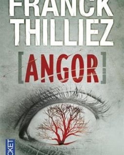 Angor - Franck Thilliez