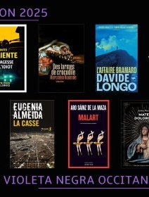 La sélection 2025 du Prix Violeta Negra, du festival Polar du Sud.