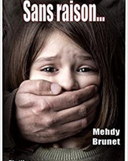 Sans Raison - Mehdy Brunet