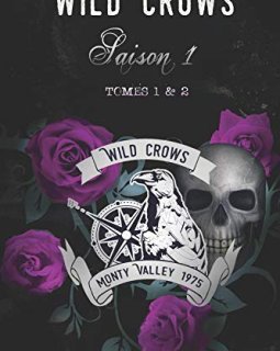 Wild Crows - Saison 1 : (Tomes 1 et 2)
