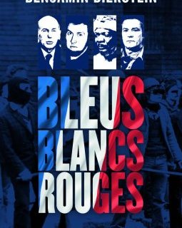 L'interrogatoire de Benjamin Dierstein pour Bleus, blancs, rouges