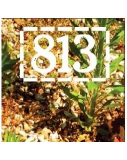 La couverture du numéro 128 de la revue 813