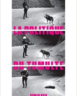 La Politique du tumulte - François Médéline