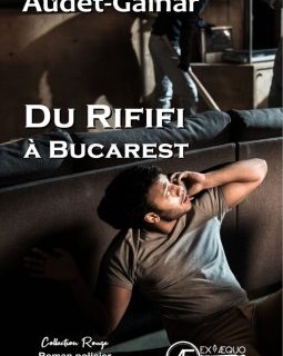 Du rififi à Bucarest - Sylvain Audet-Gainar