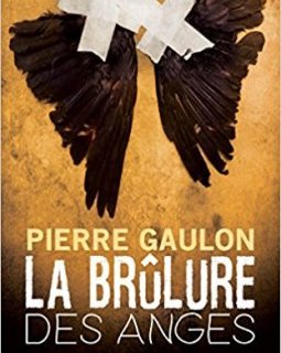 La brûlure des anges - Pierre Gaulon