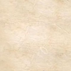 La sélection du prix Cépages Noirs !