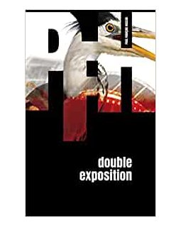 Double exposition - Paul-François Husson