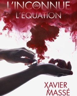 L'inconnue de l'équation - Xavier Massé