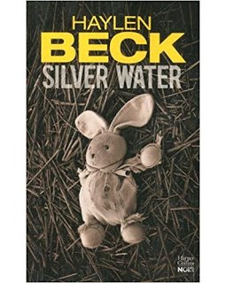 Silver Water - Haylen Beck