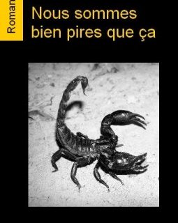 Nous sommes bien pires que ça - Guillaume Audru