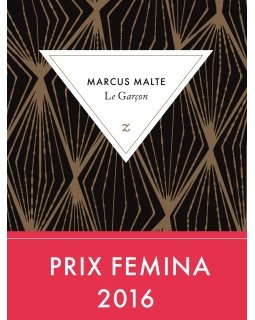 Le Garçon - Marcus Malte