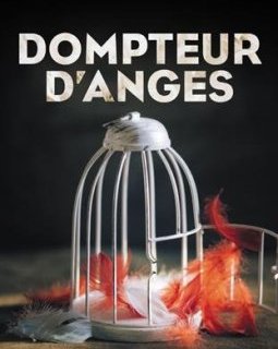 Dompteur d'anges - Claire Favan