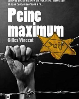 Peine maximale - Gilles Vincent