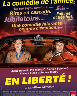 Top 40 des comédies policières cultes n°6 : En liberté !, de Pierre Salvadori
