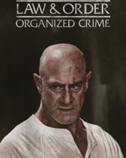 La saison 5 de New York Crime Organisé bientôt sur 13ème rue et Universal+.