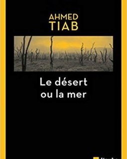 Le Désert ou la mer - Ahmed Tiab