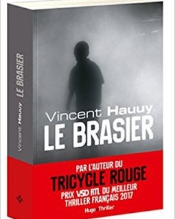 Le brasier - Vincent Hauuy