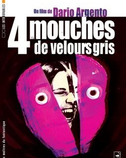 Quatre mouches de velours gris