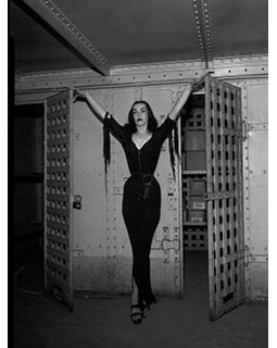 Ouverture des archives de la police américaine !