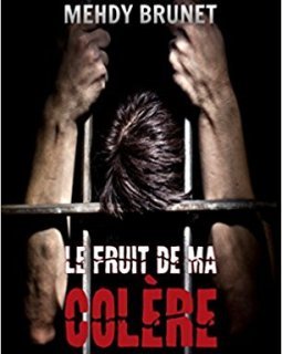 Le fruit de ma colère - Mehdy Brunet