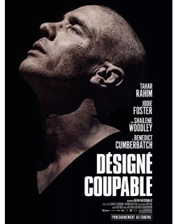 Désigné coupable - Kevin Macdonald