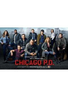 Chicago Police Department saison 2